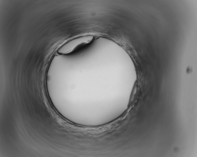 X0000097910001200804041512