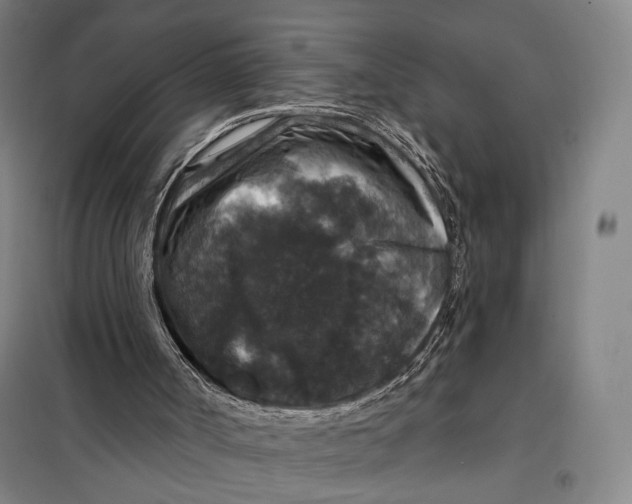 X0000097910002200804041512