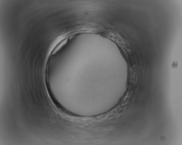 X0000097910003200804041512