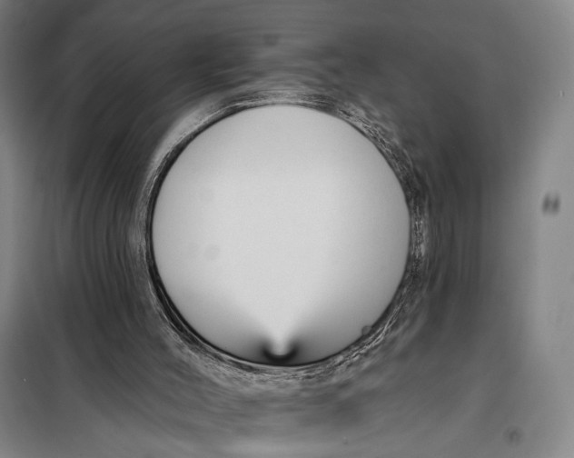 X0000097910004200804041512