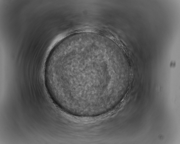 X0000097910006200804041512