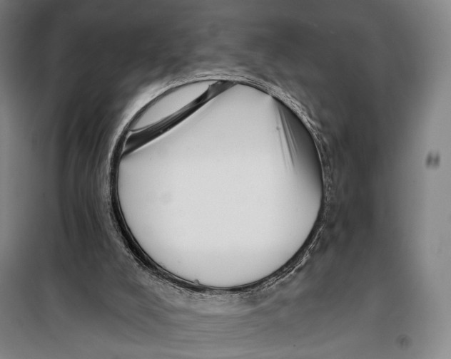 X0000097910008200804041512