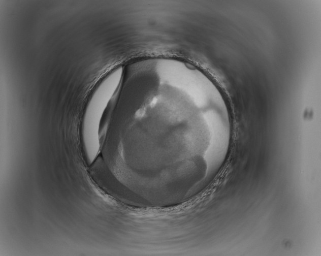 X0000097910009200804041512