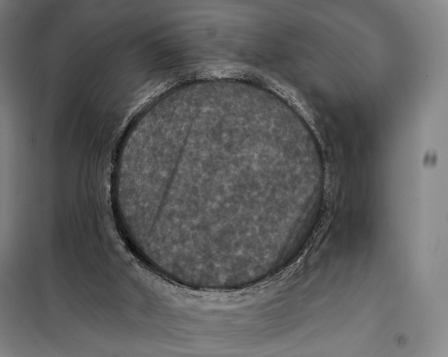 X0000097910010200804041512