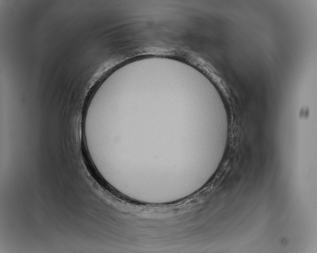 X0000097910011200804041512