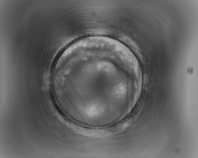 X0000097910012200804041511