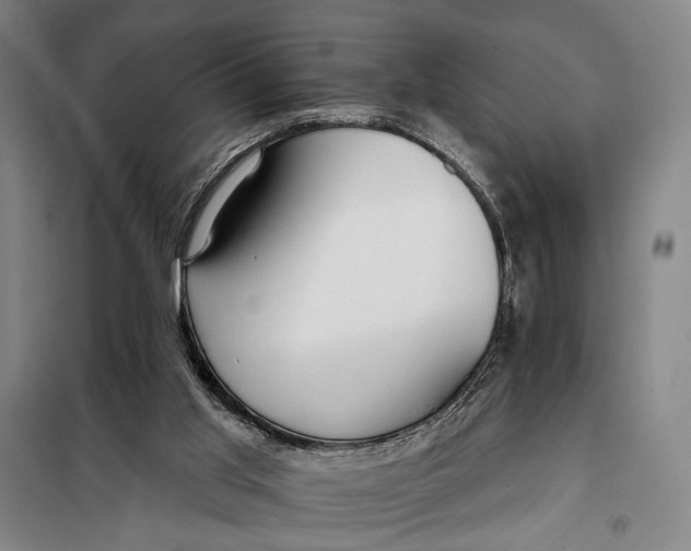 X0000097910013200804041511