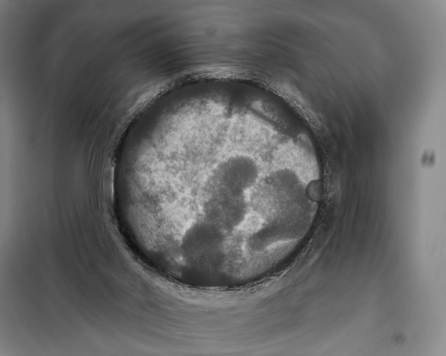 X0000097910014200804041511