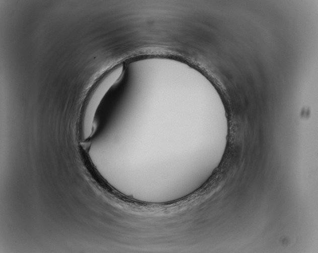 X0000097910015200804041511