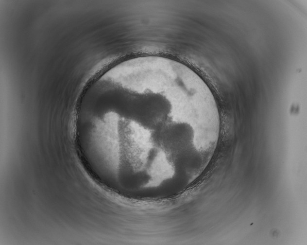 X0000097910016200804041511