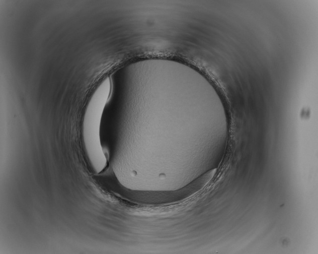 X0000097910017200804041511