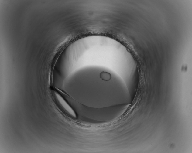 X0000097910019200804041511