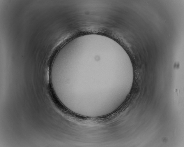 X0000097910020200804041511