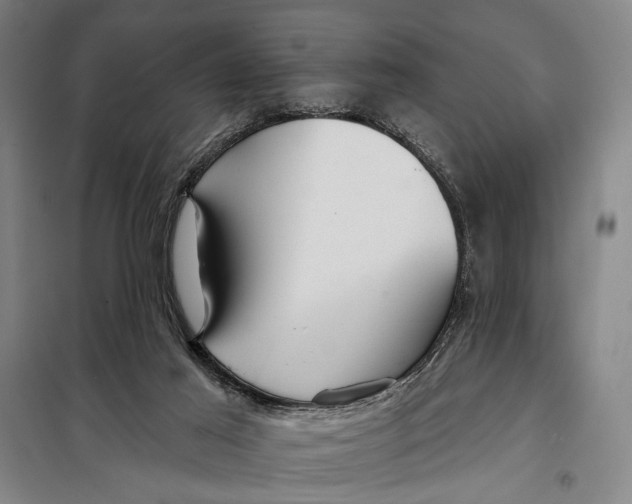 X0000097910021200804041511