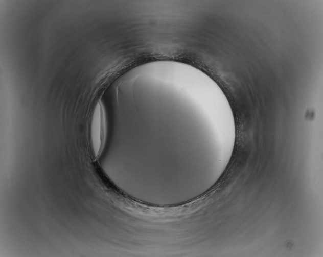 X0000097910027200804041511