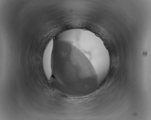 X0000097910029200804041511