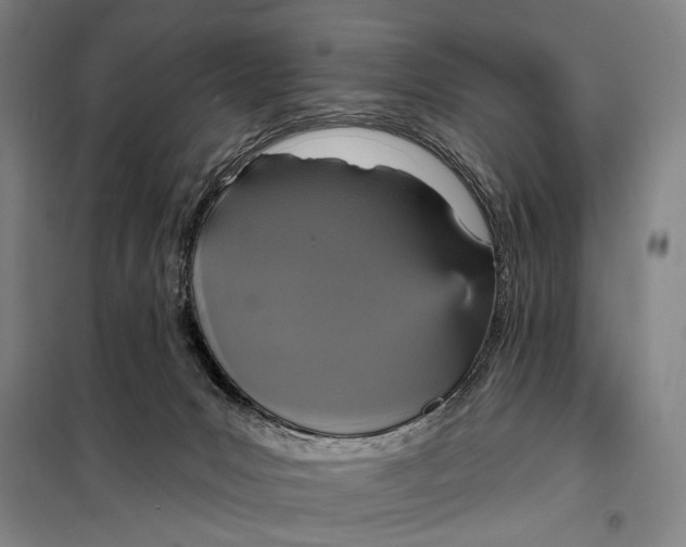 X0000097910031200804041511