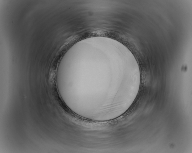 X0000097910036200804041511