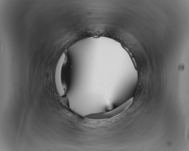 X0000097910037200804041511