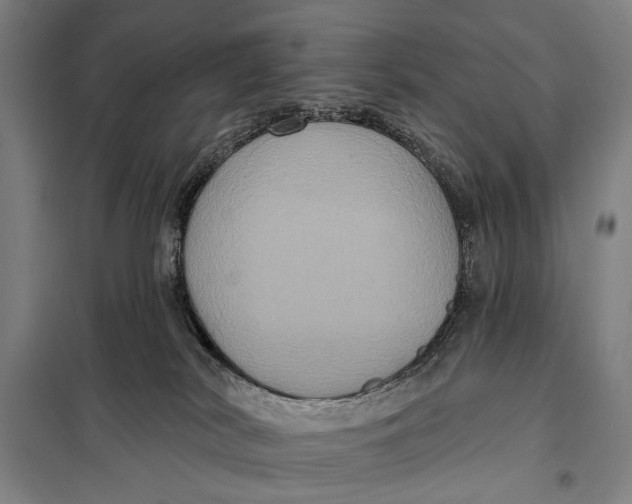 X0000097910038200804041511