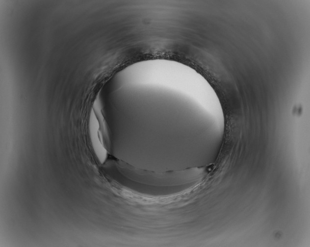 X0000097910039200804041511