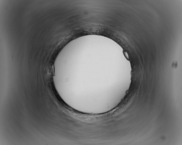 X0000097910040200804041511