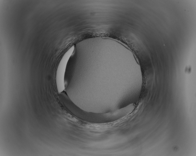 X0000097910041200804041511