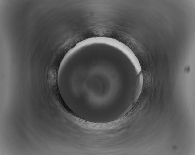 X0000097910043200804041511