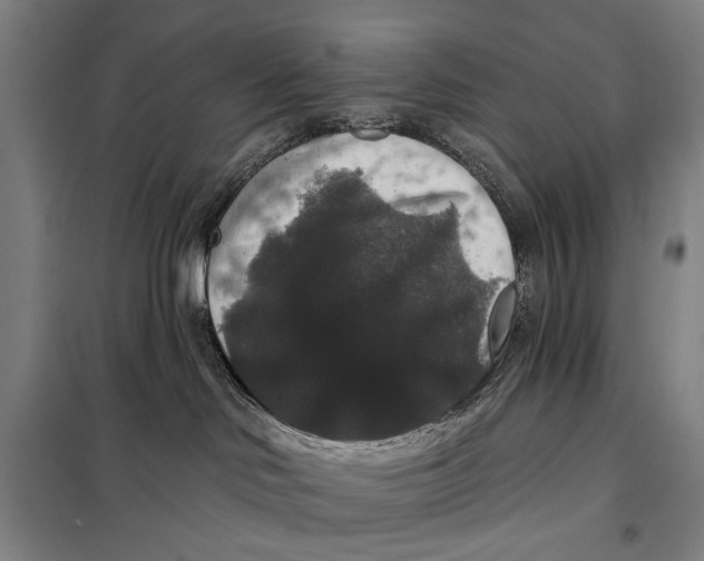 X0000097910046200804041511