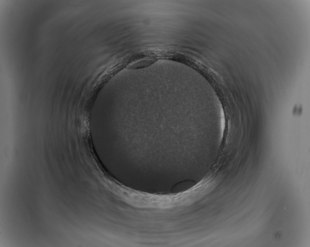 X0000097910048200804041511