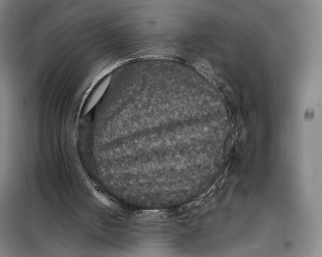 X0000097910050200804041510