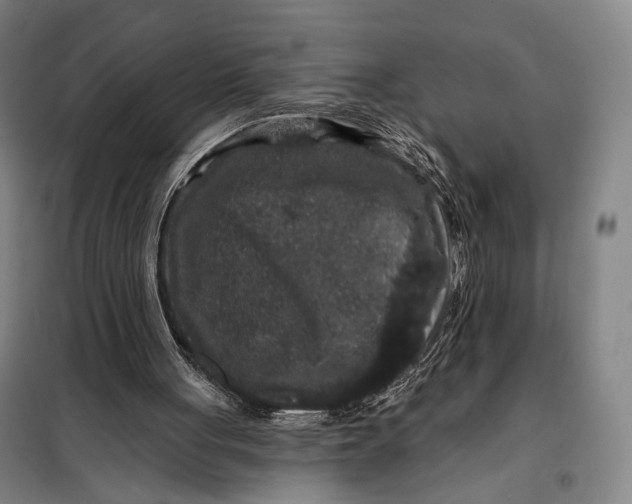 X0000097910051200804041510