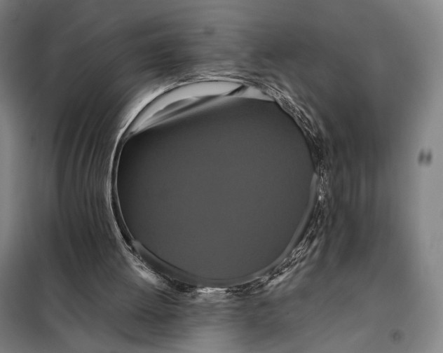 X0000097910052200804041510