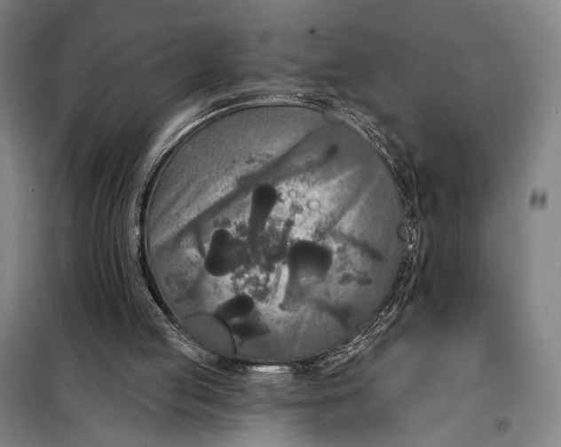 X0000097910053200804041510