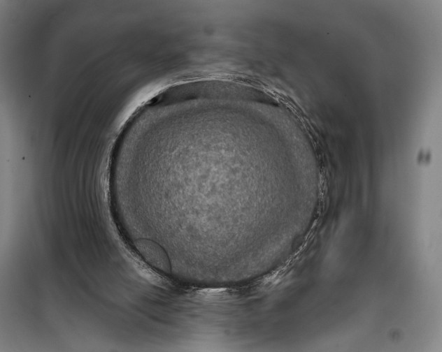 X0000097910054200804041510