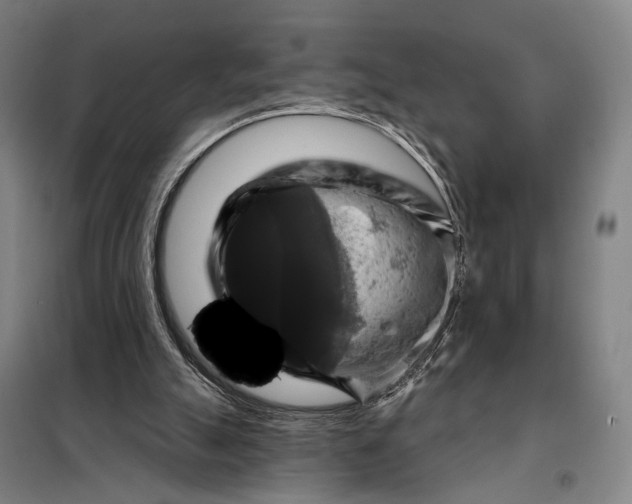 X0000097910055200804041510