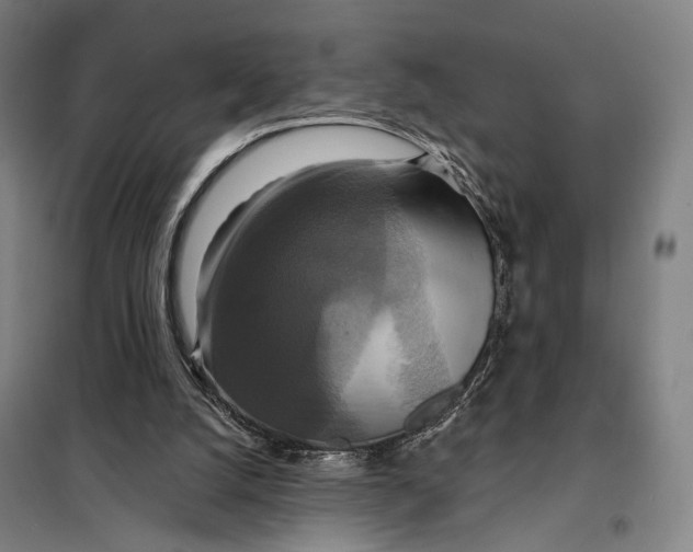 X0000097910056200804041510