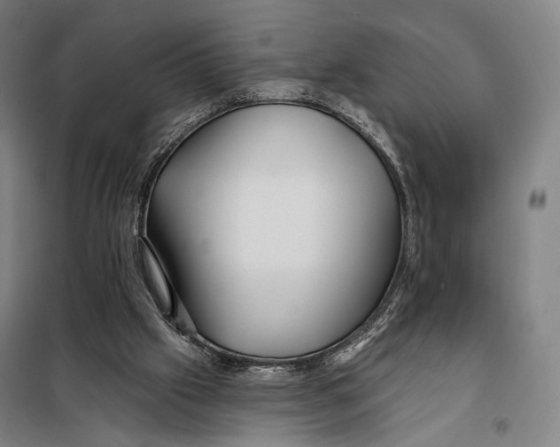 X0000097910057200804041510