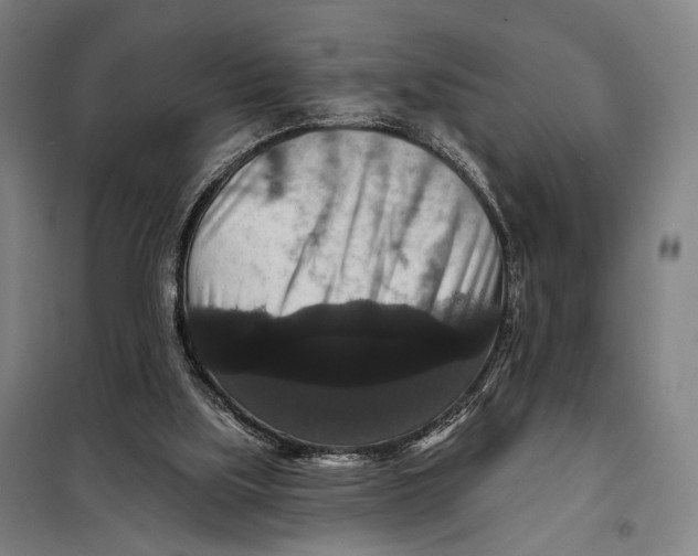 X0000097910059200804041510