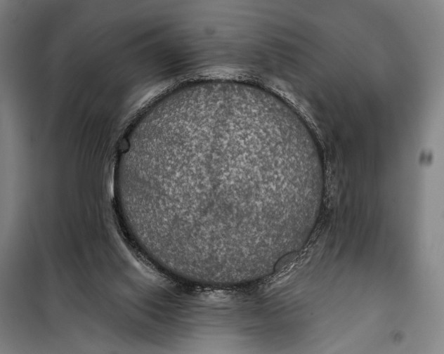 X0000097910062200804041510