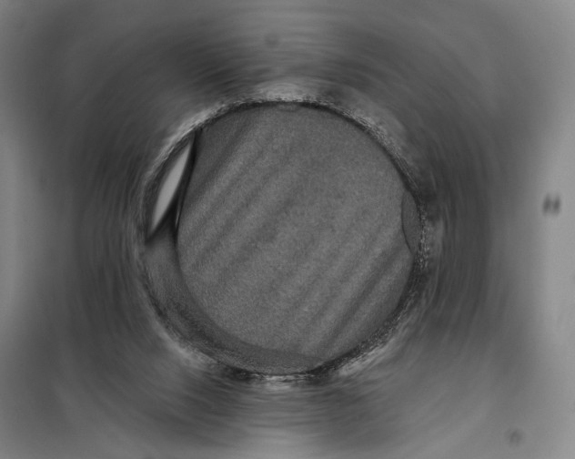 X0000097910064200804041510