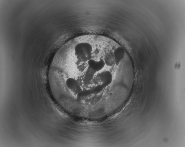 X0000097910065200804041510