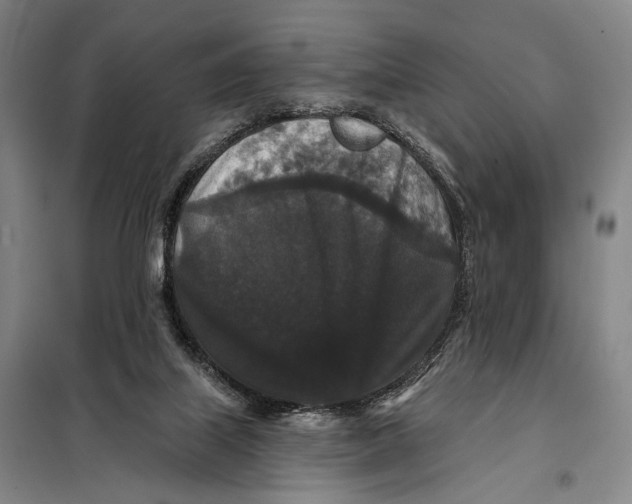 X0000097910067200804041510