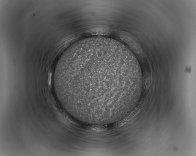 X0000097910070200804041510