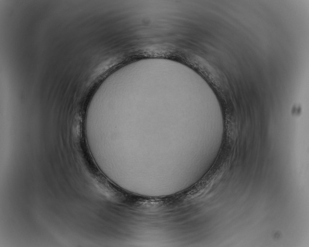 X0000097910071200804041510