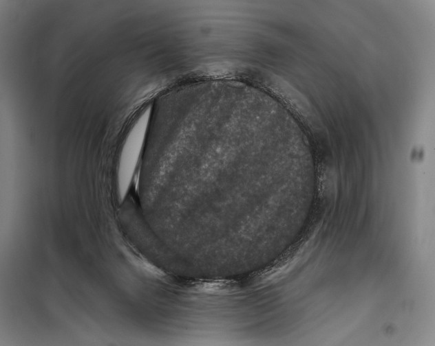 X0000097910072200804041510