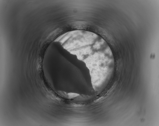 X0000097910073200804041510