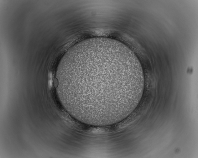 X0000097910075200804041511