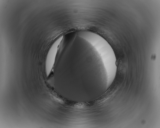 X0000097910076200804041511