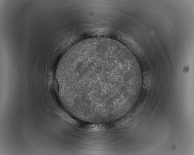 X0000097910077200804041511